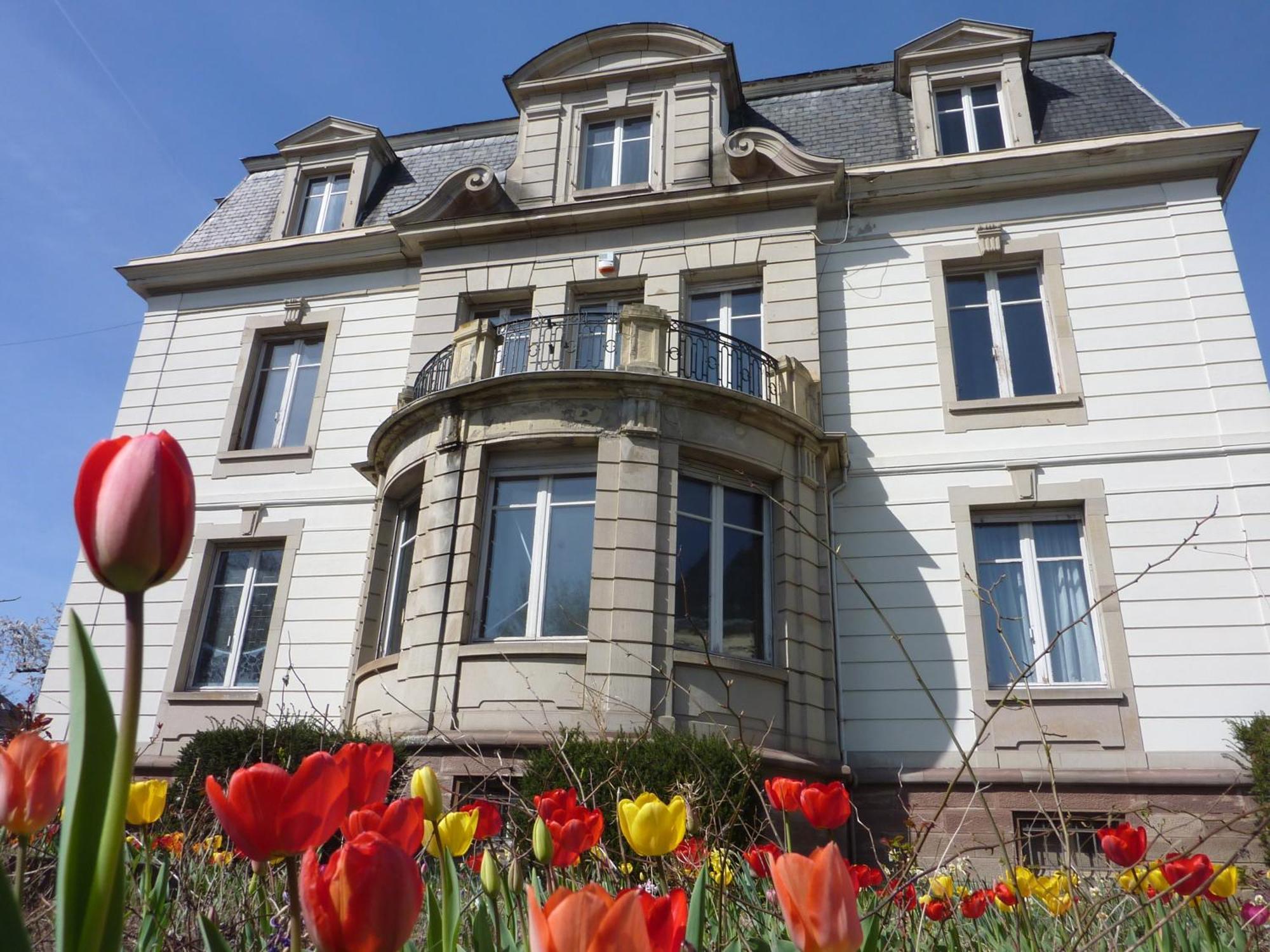Villa Elyane Κολμάρ Εξωτερικό φωτογραφία